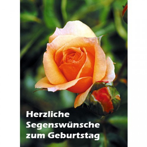 Junker Verlag GmbH 10er-Pack Geburtstagskarte A6 mit Text Herzliche Segenw&uuml;nsche zum Geburtstag, Motiv Rose